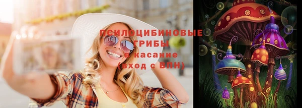 МДПВ Инсар
