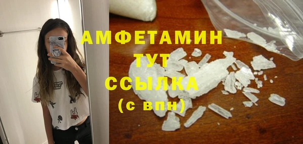 прущие грибы Иннополис