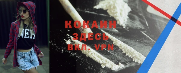 прущие грибы Иннополис