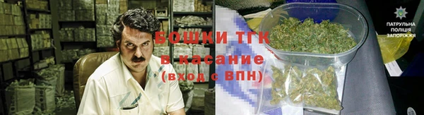 МДПВ Инсар