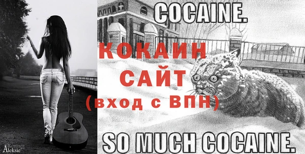 прущие грибы Иннополис