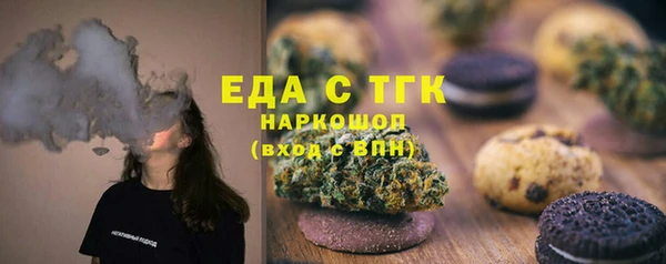 МДПВ Инсар