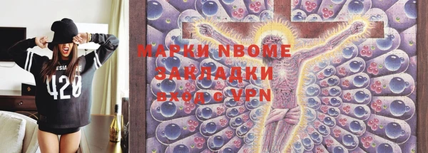 прущие грибы Иннополис