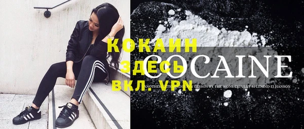 прущие грибы Иннополис