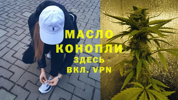 МДПВ Инсар