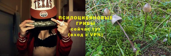 молекула духа Фёдоровский