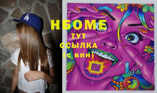 МДПВ Инсар