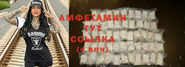 МДПВ Инсар