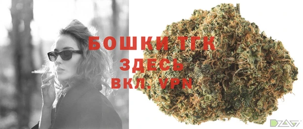 прущие грибы Иннополис