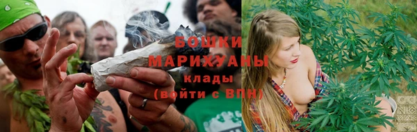 прущие грибы Иннополис